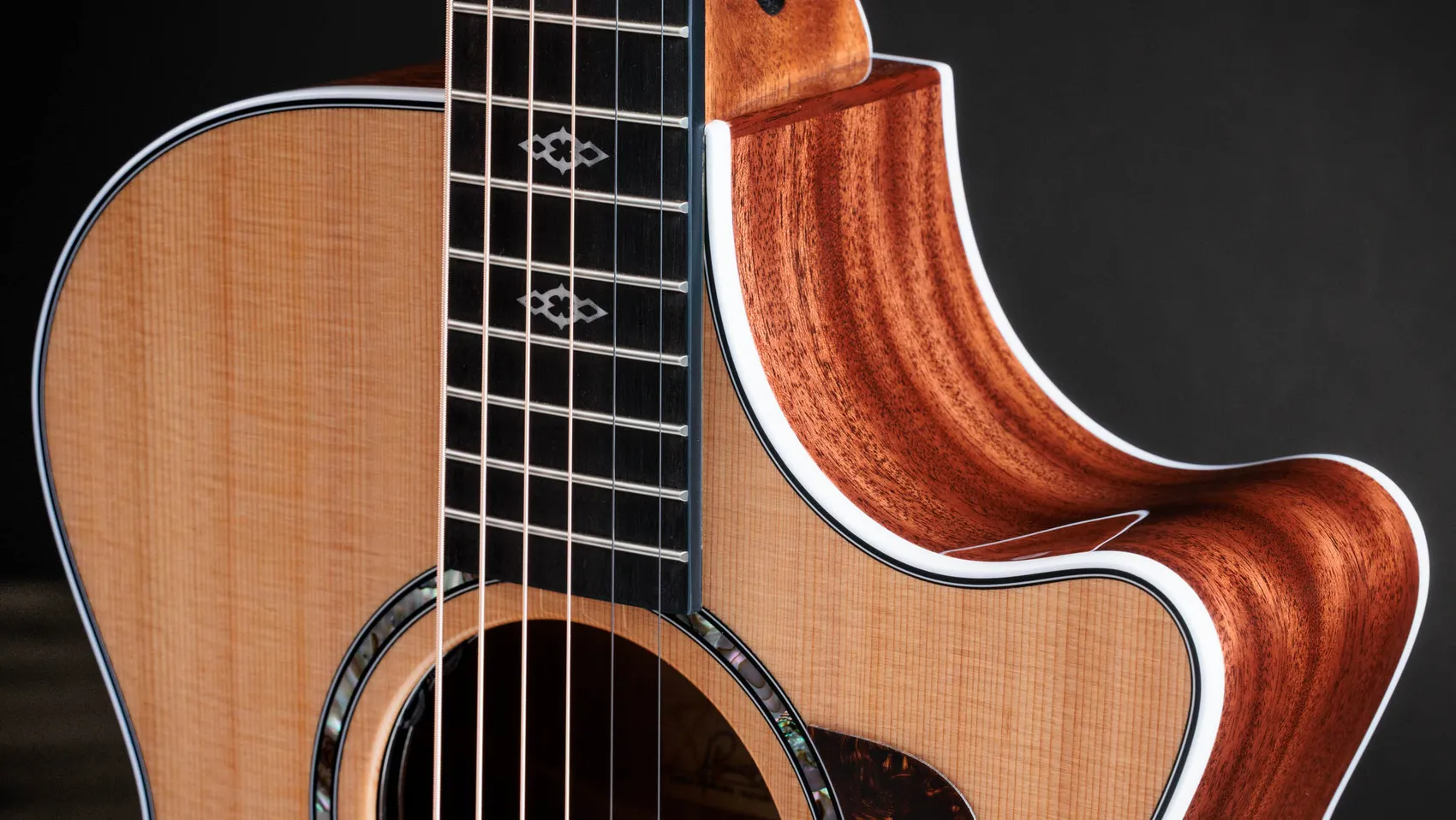 Taylor 512ce アコースティックギター 次世代512ceネオトロピカルMahogany・アコースティック